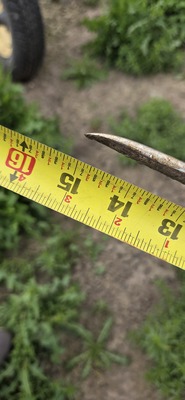 Small